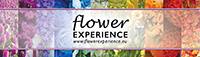 Flower Experience